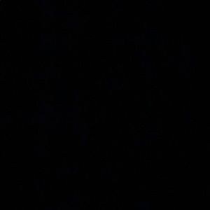 Meet your Posher, Cam